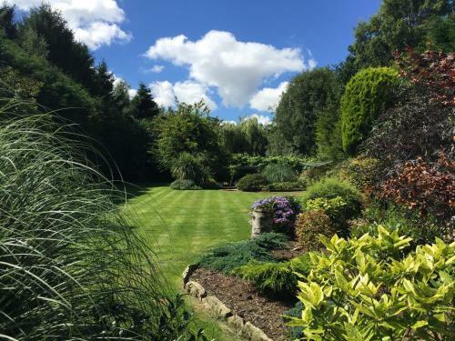 Bed & Breakfast Beechwood B And B