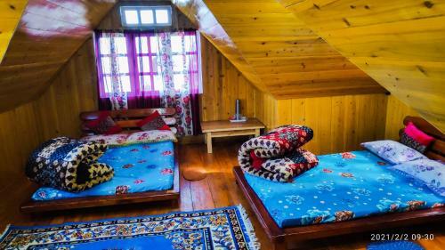Solitude In Himalayas, Cottage