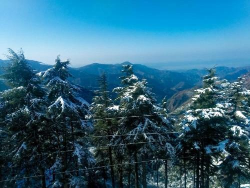 Hotel Dhanaulti Jungle Resort