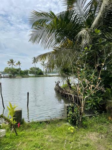 Bed & Breakfast Kari Backwater Home