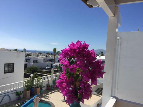 Villa Princesa Sofia