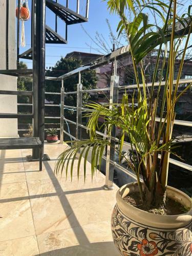 Fresh Morning Homestay Dehradun
