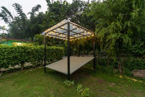 The Hosteller Jim Corbett