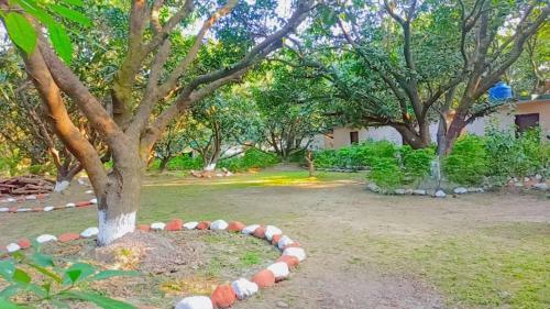 Shekhar Big Cat Corbett Safari Camp