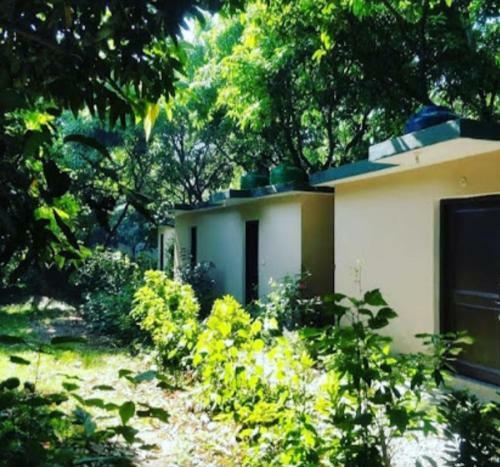 Shekhar Big Cat Corbett Safari Camp