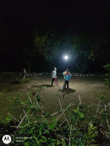 Shekhar Big Cat Corbett Safari Camp