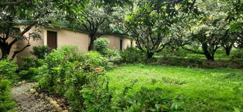 Shekhar Big Cat Corbett Safari Camp