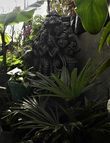Apartamento Nest In Garden Home Stay