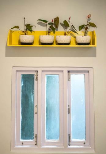 Albergue Tag Along 2.0
