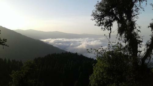 Vamoose Heema Homestay