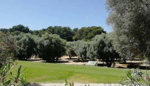 Apartamento Casa Joleen 2