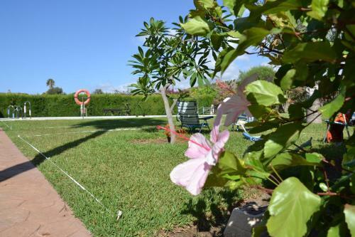 Apartamento Playa/piscina Apto Paraiso Rosa