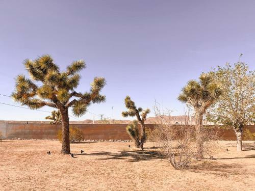 *new* Modern Design + 10m To Jtnp + Cook's Kitchen