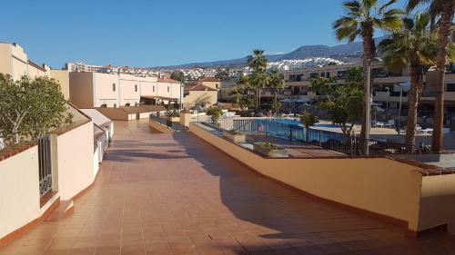 Tenerife Lizards - Duplex In The First Line
