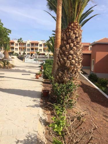 Apartamento Lorena House