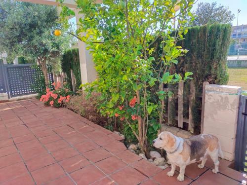 Apartamento Panor�mica Golfmar C/ Generalitat