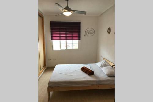 Casa, Sol Y Playa 365 D�as!! Wifi