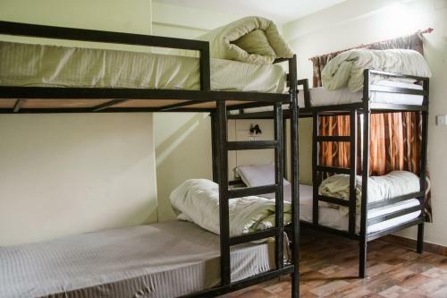 Beds & Friends Backpackers Hostel Pvt. Ltd.