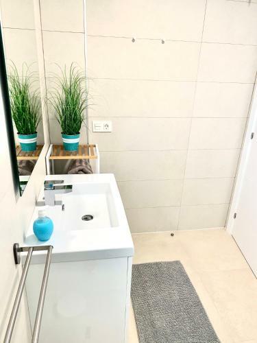 Apartamento Appartement Duna Beach