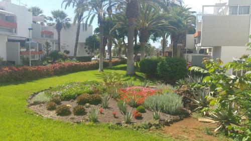 Apartamento Residencial Primavera