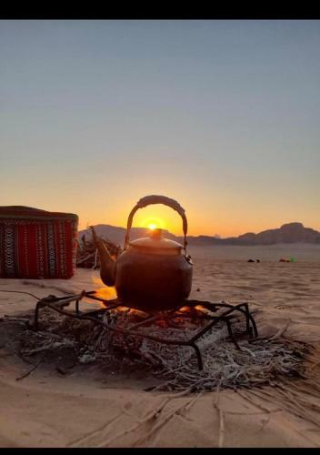 Wadi Rum Watch The Stars