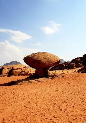 Wadi Rum Watch The Stars