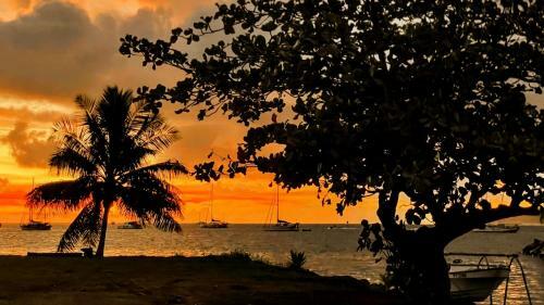 Raiatea - Bungalow Nautilus Lagoon