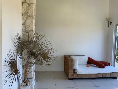 Hostal Exclusive 3br Villa, Sleeps 6, Trip Planning