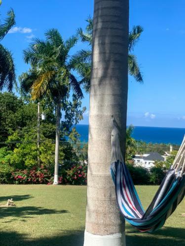 Hostal Exclusive 3br Villa, Sleeps 6, Trip Planning