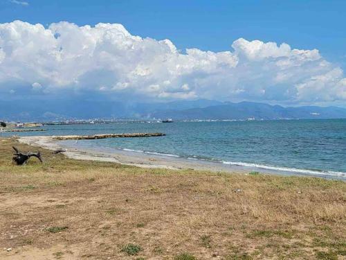 Apartamento 5 Star By The Sea (oceanview)