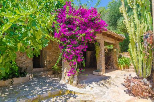 Villa Cas Conco