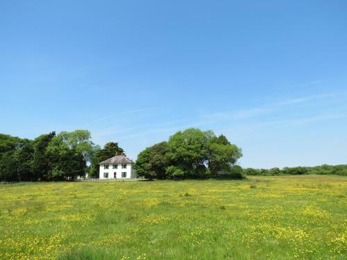 Hostal Elm Grove Country House