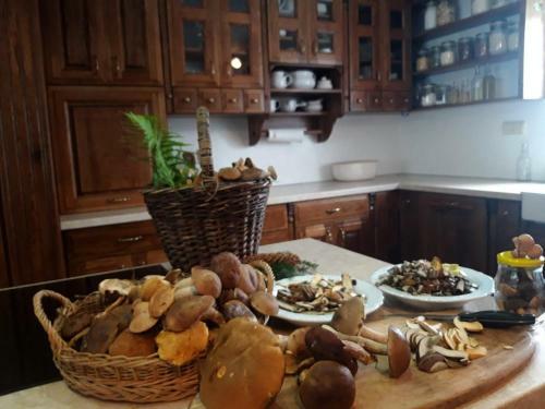 Apartamento Podhansk� Roubenka (farma)
