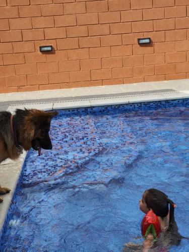 Raco De Lis