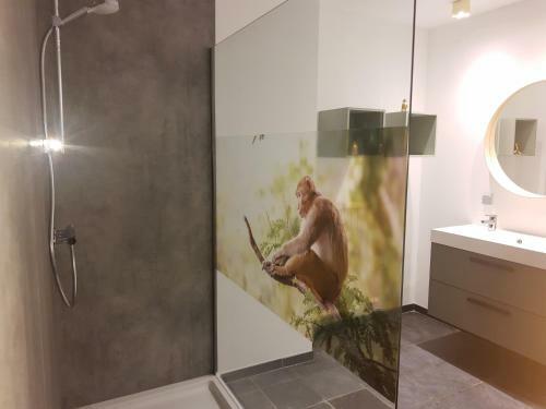 Vakantiewoning 'de Vlaamse Aap'