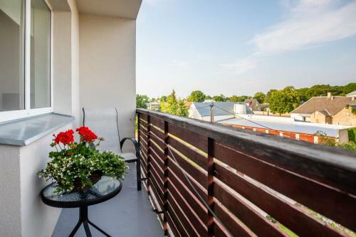Freshly Renovated Family Apartment