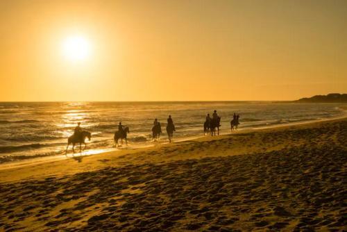Bungal� Ideal Para Parejas Andando de La Playa