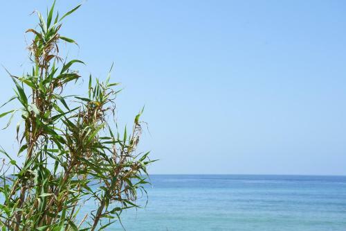 Agroturismo Casara Siete