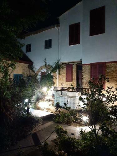 Bed & Breakfast Palm Garden Guest House