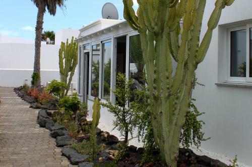 Apartamento B2 Bungalow Casitas De Luz