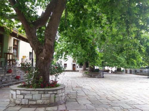 Villa Marina Traditional Stonehouse