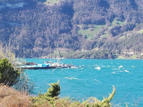 Apartamento Berner Oberland Am Thunersee