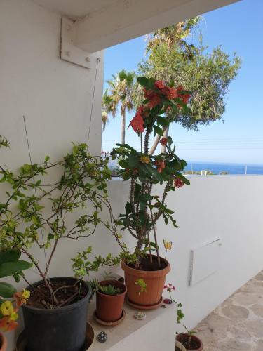 Apartamento Ikaria Village Maisonette 12