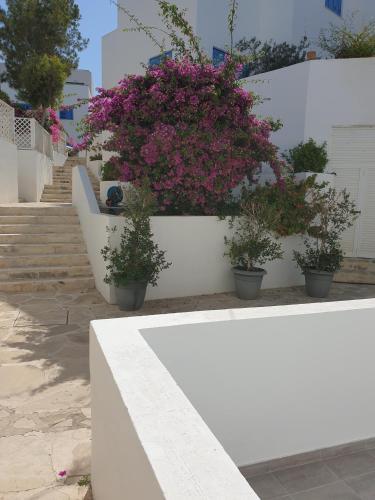 Apartamento Ikaria Village Maisonette 12