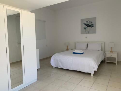 Modern, Stylish 4-bedroom Villa - Limnaria Villas
