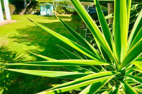 Apartamento Villa - Beach 5mins! - Full A/c - Swimming Pool - Wifi