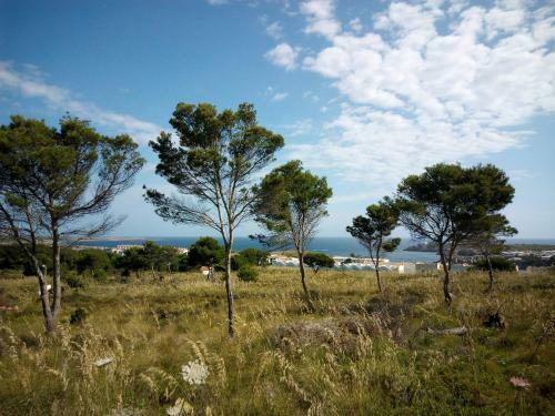 Apartamento Castellsol Arenal Home Beach