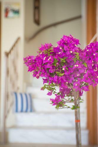 Villa Christos