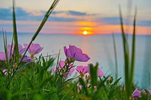 Apartamento Aegean Blue Horizon