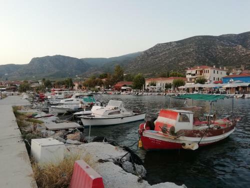 Apartamento House With Dreamy View Volos Agria